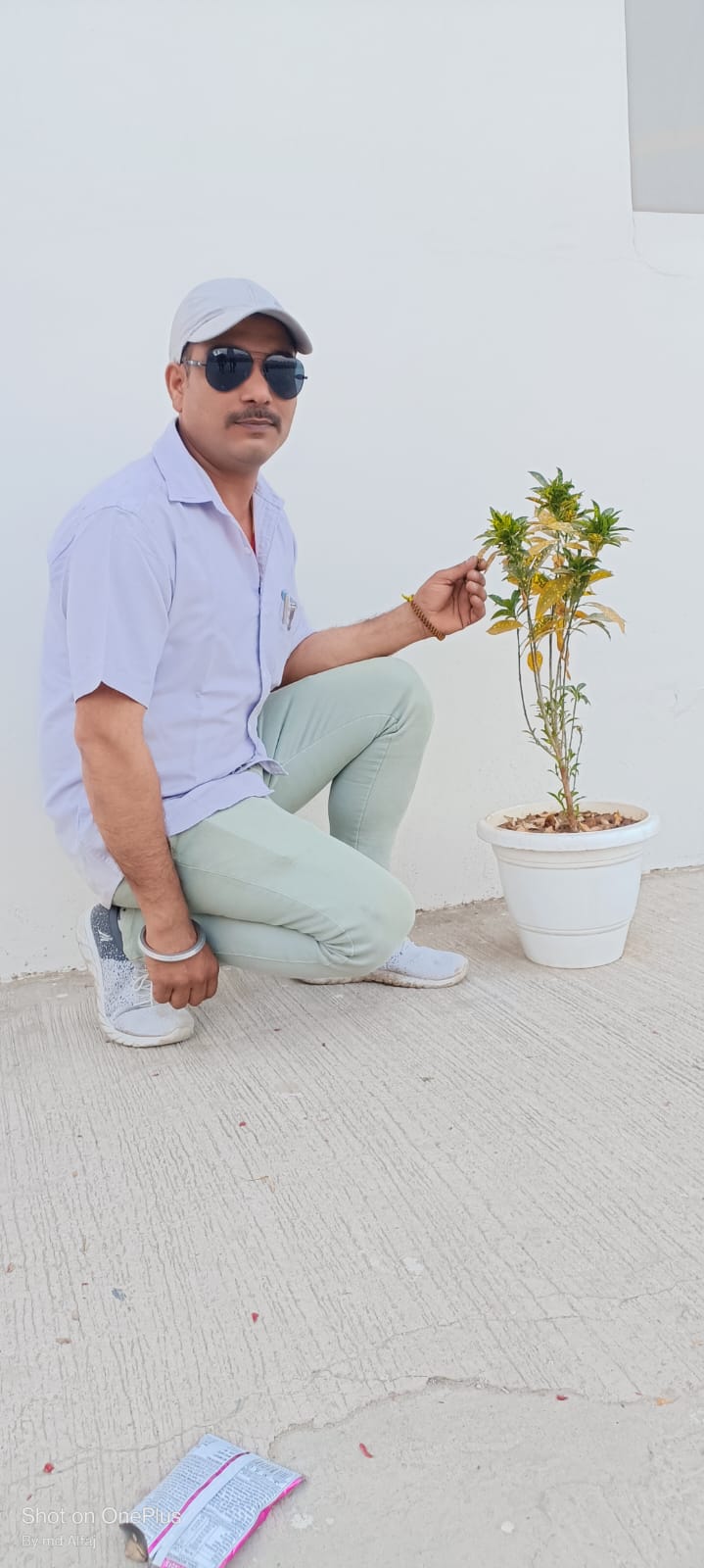 member Profile
